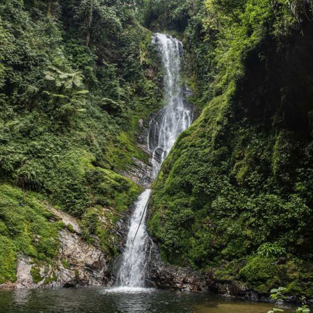 Cascade de Nyungwe (Rwanda)
