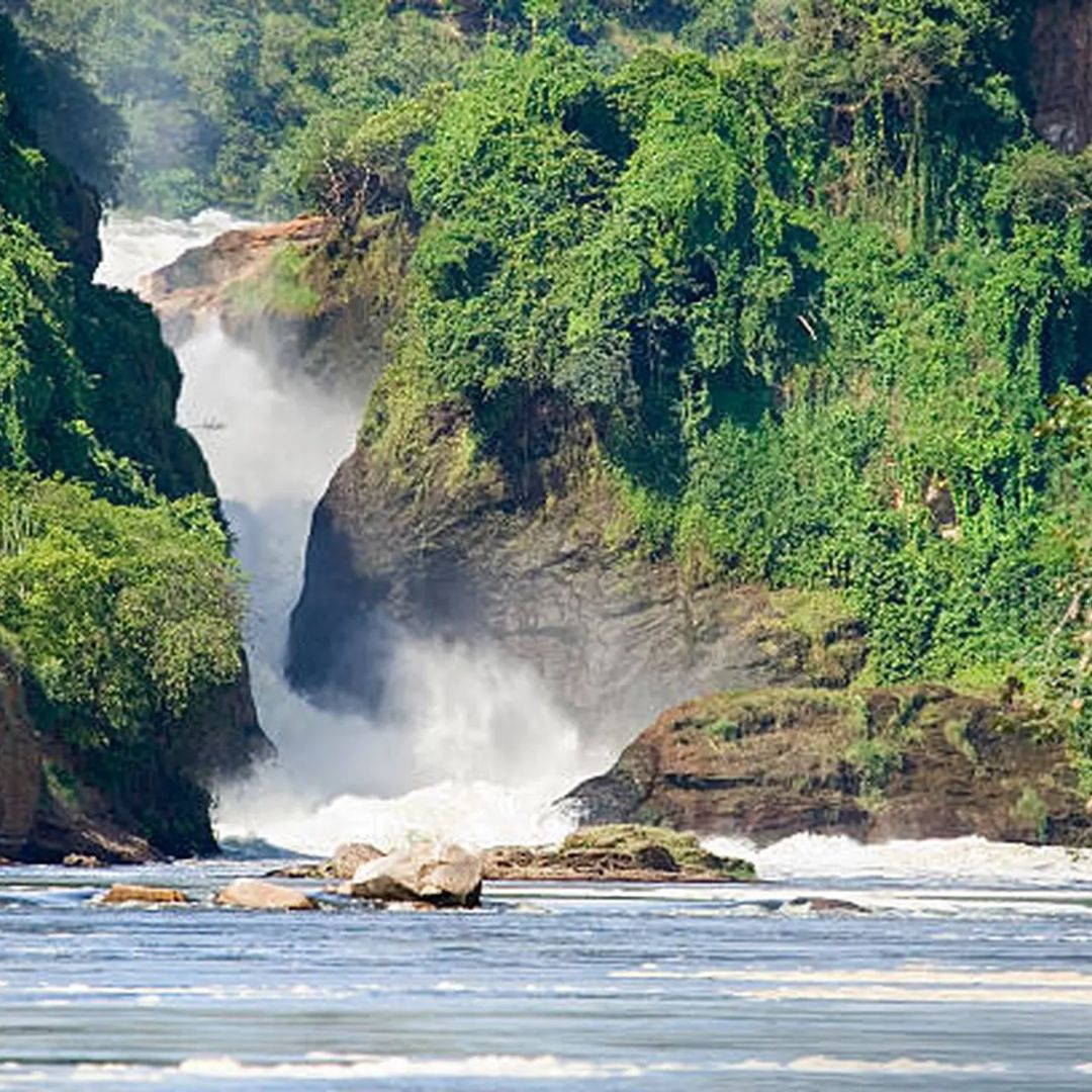 Chutes Murchison (Ouganda)